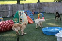 daycare pic 77 - play time